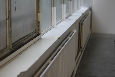 Three golden skate stops on a white wide indoor window sill along a row of windows