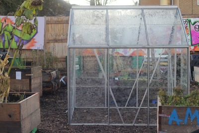 Empty greenhouse with laser etched plant patterns in the glass panes